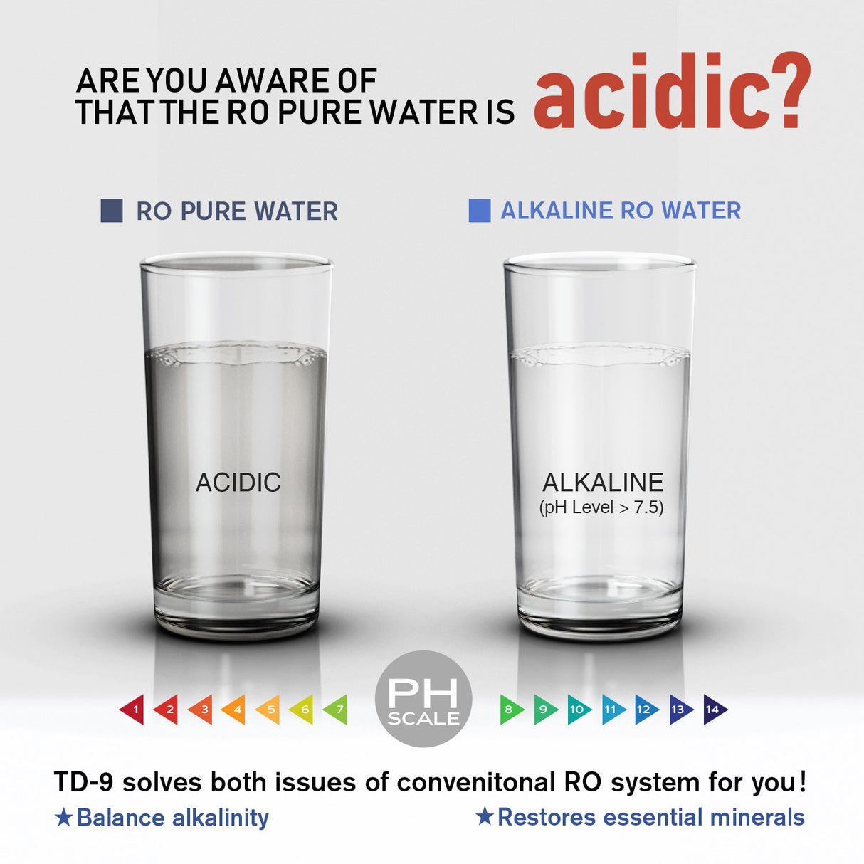 Frizzlife TD-9 alkaline remineralization inline liner filter under the sink-follow-up filter for Ro-reversal osmosesystem
