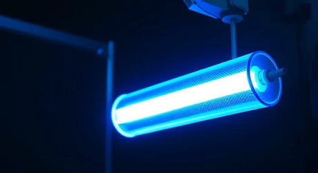 hilft UV-Licht beim Wasser trinken