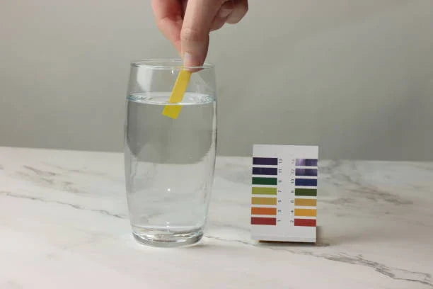 Alkaline vs Acidic: Understanding Their Key Differences