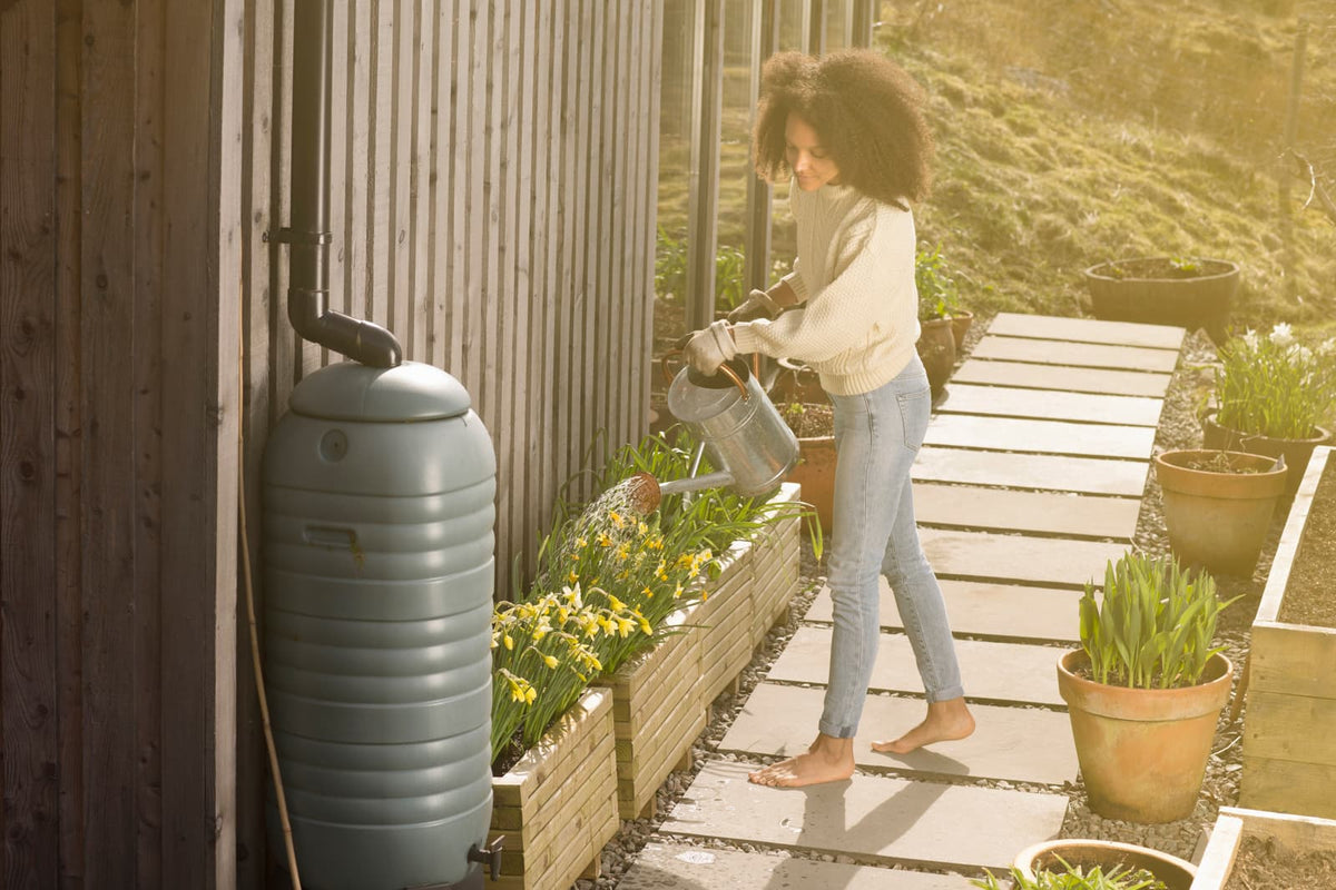 Eine Frau gießt Gartenpflanzen mit Wasser aus einem Regenwassertank, der Regenwasser vom Dach eines Holzhauses sammelt.