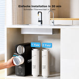 Frizzlife 800 GPD tankless reverse osmosis system – remineralization, PD800-TAM4