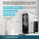 Frizzlife PD600-TAM3 600 GPD Umkehrosmoseanlage mit alkalischer Remineralisierung